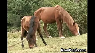 665 raw porn videos
